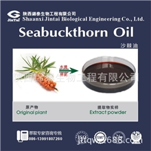 供应优质沙棘油、沙棘籽油、沙棘果油
