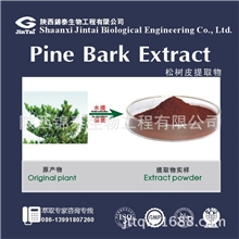 厂家优惠供应松树皮提取物、原花青素、OPC