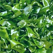 专业生产企业供应优质海带提取物、海带多糖