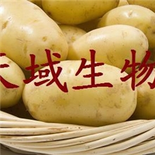 专业厂家生产优质土豆提取物