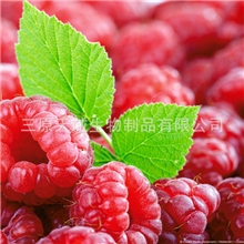 厂家现货供应树莓提取物（树莓酮）--植物清脂软黄金