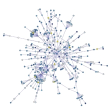 粗品抗原（校准品级）