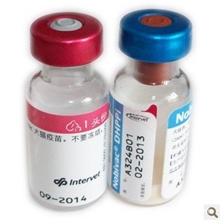 荷兰英特威四联/五联犬用疫苗