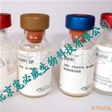 诚招宠物疫苗、用品代理