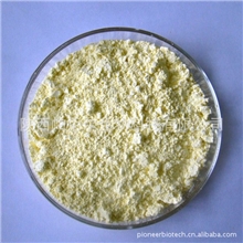 东革阿里提取物20:1大量存货待售欢迎来电咨询厂家质量保证