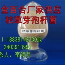 发酵床养鸡优点