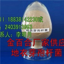 地衣芽孢杆菌高级微生态饲料添加剂作用机理及使用方法