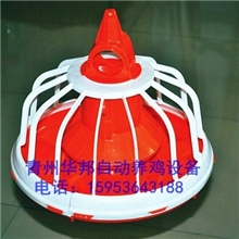 肉鸡自动喂料设备肉鸡料线肉鸡全自动养殖设备青州华邦