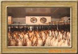 供应专业肉类食品冷冻冷藏冷库-18-25