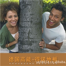 石家庄优质地板（高档实木、优质强化复合地板、多层实木地板）