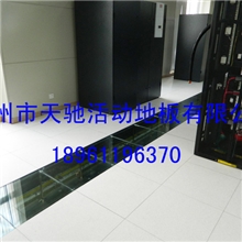 供应木纹面美露品质静电地板,防静电地板，中国制造，常州地板。