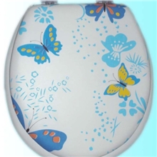 【厂家直销】软座丝印马桶盖，PVC,盖板，坐便器盖板，马桶盖座圈