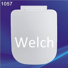 供应高品质PP材质马桶盖板座便器盖板1057