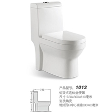 1012座便器马桶虹吸式连体坐厕超强冲力地排墙排，250出水