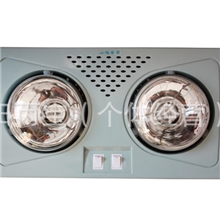 【热销】厂家直供/优质两灯壁挂浴霸/电取暖器