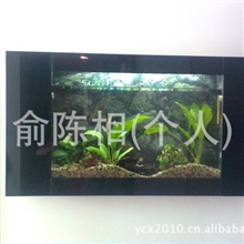 批发鱼缸，挂壁式鱼缸，台式鱼缸，柜式鱼缸，屏风鱼缸，鱼缸厂家