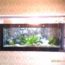 批发鱼缸，挂壁式鱼缸，台式鱼缸，柜式鱼缸，屏风鱼缸，鱼缸图片