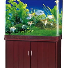 东莞亮彩厂家鱼缸生态鱼缸小型鱼缸水草鱼缸水族箱批发定做