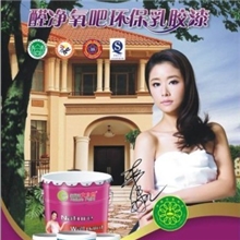 中国十大油漆涂料品牌大自然净味多功能乳胶漆，涂料价格