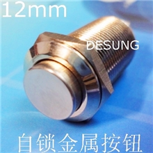 【诚信厂家品质保障】供应DESUNG德崧12mm高档防水台灯开关