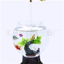 【新品上市】供应新款精品魔法鱼缸