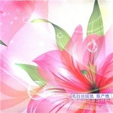 大量供应环保壁画墙纸材料打印壁画材质亮白丝绒纸