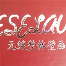 大型壁画壁纸样本画册风格各异的实物图册诚招批发代理