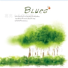 布鲁斯家《样板100一本》2013年田园小清新烂花纱雕花烫金窗帘