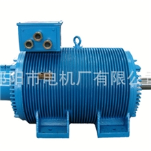 湖南钢厂专用辊道电机YG112-400系列特种电机厂家