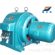 水轮发电机组,水力发电机组,水电设备,改造,无刷励磁立卧式发电机