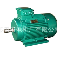三相异步电动机Y2/63-355系列Y2系列电动机厂家