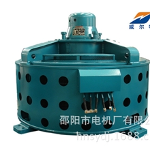 湖南水轮发电机组,水力发电机组,水电设备,改造,SF1730立式发电机