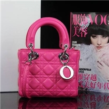 梅红羊皮LADY小号3格银扣单肩戴妃包3