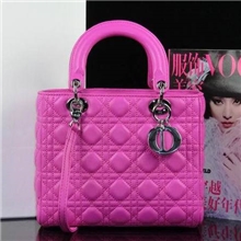 冰淇淋粉羊皮LADY中号5格银扣单肩戴妃包