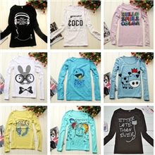 2013秋新品女装时尚爆款纯棉印花长袖T恤百搭修身款批发