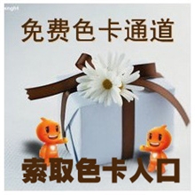 色卡免费不包快递费|提供A4布样入口|快递补差请拍付