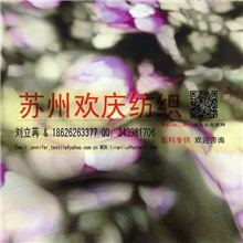 供应乔其雪纺超薄围巾面料数码印花定制秋冬女士真丝丝巾布料