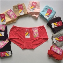 厂家直销彩田正品5065低腰纯棉平角女内裤女士内裤多色可选