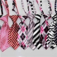 领带批发办公室文员职业女士领带领花招全国代理商免费提供样品