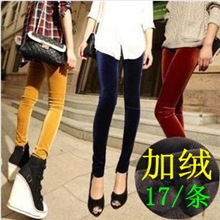 D571厂家批发金丝绒显瘦九分铅笔裤小脚创酷加绒加厚打底裤