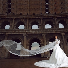 新娘头纱韩式新长款拖尾5米蕾丝头纱范冰冰电脑花边头纱批发特价