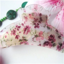 供应小额批发2012韩国流行时尚印花小碎花抓夹