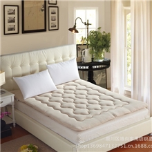 床垫高档珊瑚绒榻榻米床垫可折叠单人双人地垫床褥