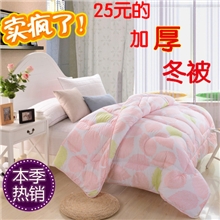 厂家直供冬被被芯被子加厚学生单人双人被珠光被春秋被