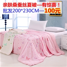 批发桑蚕丝被亲肤夏凉被空调被100%桑蚕丝可定做厂家直销