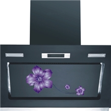 老板欧式吸油烟机天弧电脑紫荆花TH90428#全铜电机老板烟机