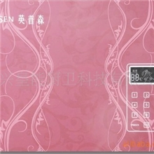 火红生活英普森英皇情调,即热式热水器