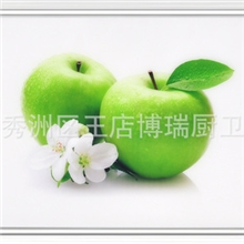 最新款高档集成吊顶灯照明系统博瑞厨卫电器