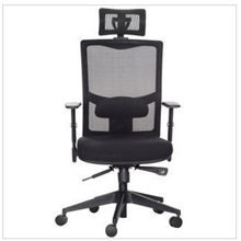 Sunmake可升降扶手网布人体功能学转椅/工作椅/办公椅X5