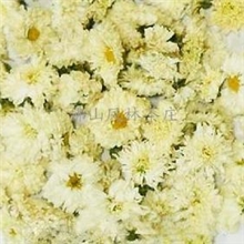 无硫中药材地道药材，品种齐全，中药材贡菊